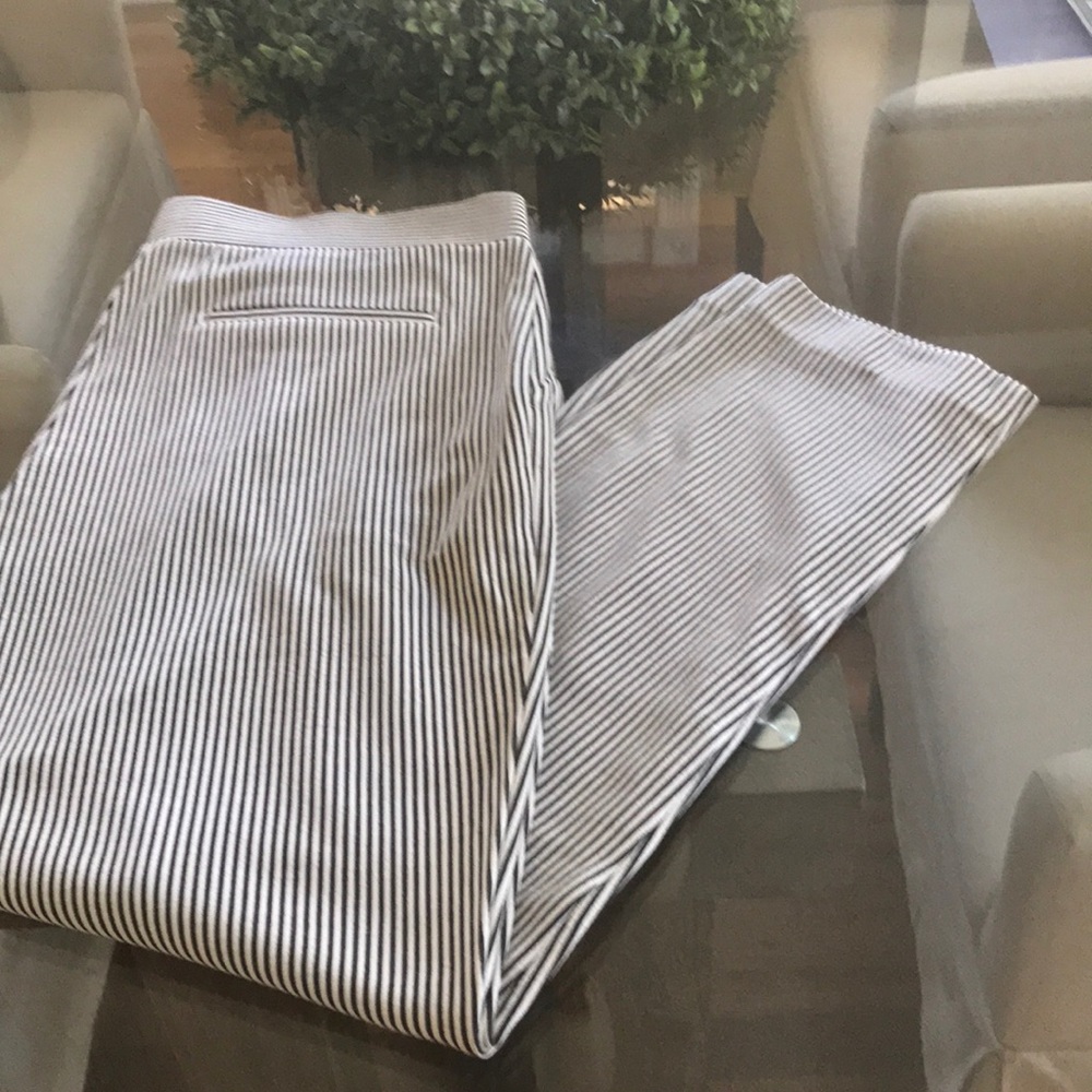 Express pull on pants size m